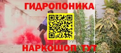 каннабис Кингисепп