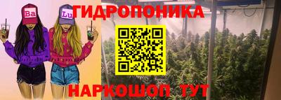 каннабис Кингисепп