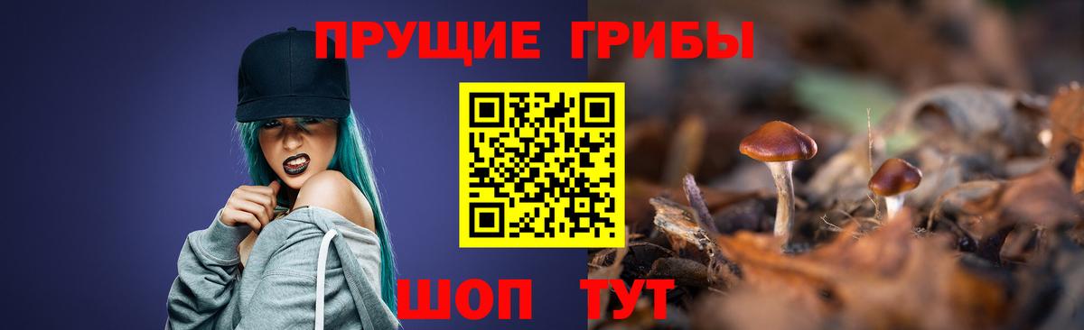хочу   Псилоцибиновые грибы Magic Shrooms  Вход с VPN  Бирск  Псилоцибиновые грибы GOLDEN TEACHER 