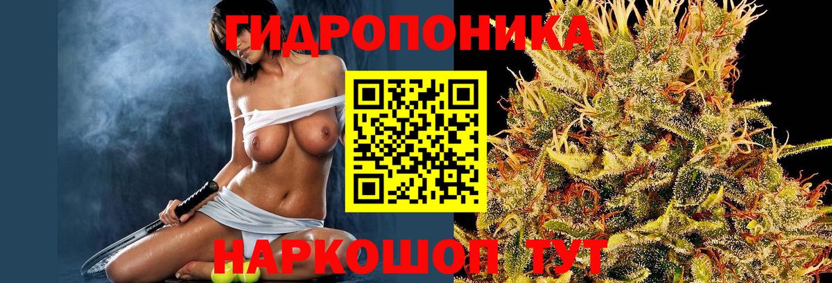 Бошки Шишки индика Бирск